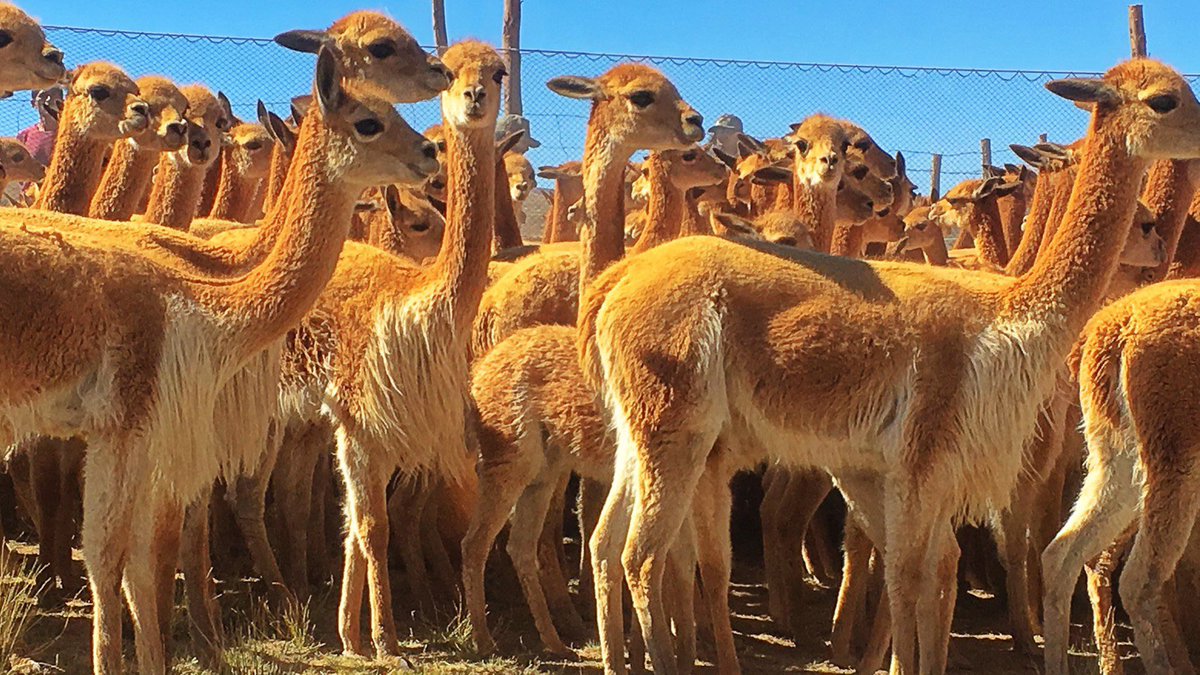 中山卓也 地元福井では 世界ふしぎ発見 が明日17日昼12時 Fbcにて放送です 福井の皆さんー 是非見て下さい 13時からは甲子園 敦賀気比の試合をみんなで応援しましょう T Co Vxqzkrci0x ふしぎ発見 ミステリーハンター 福井県