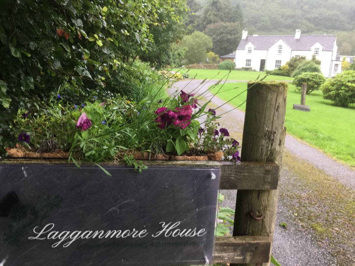 Lindsay Davies (Lindsay86669611) Twitter