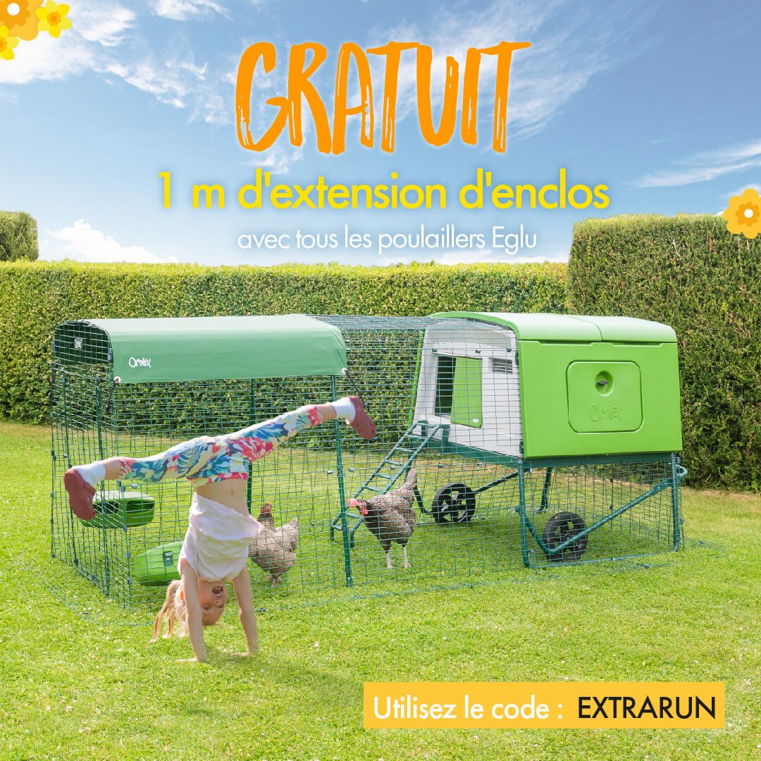 Omlet France At Omletfrancais Twitter