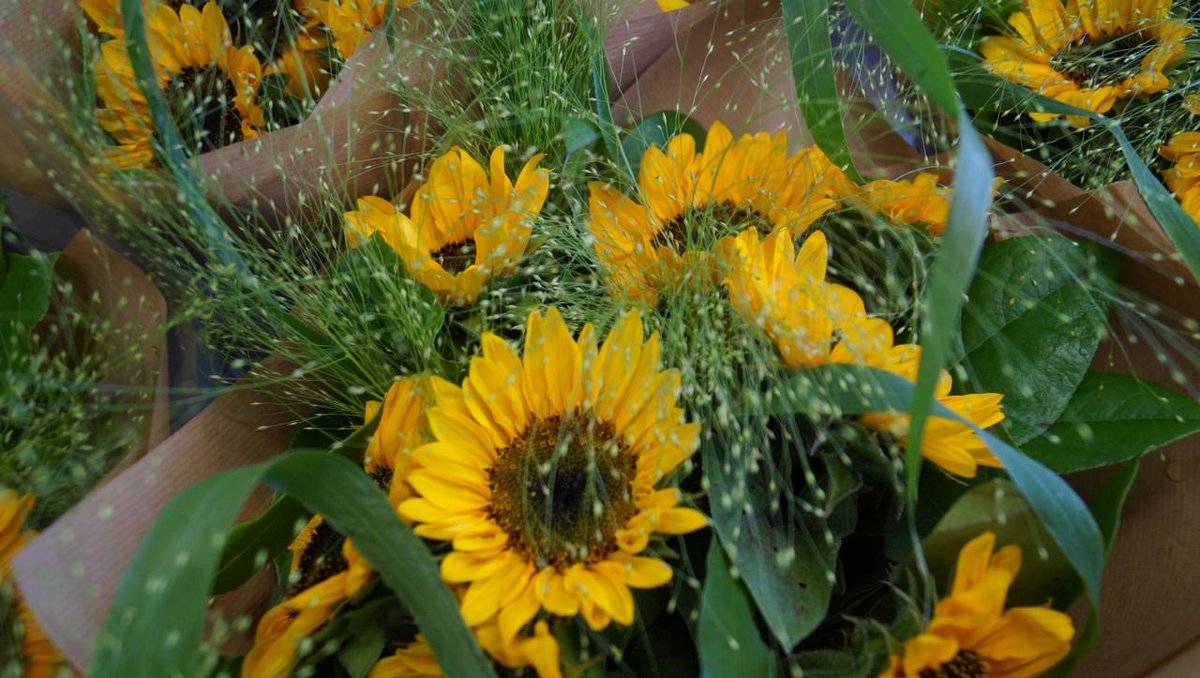 SPECIAL OFFER! This week's #fifteenquidfriday floral gift bouquets are mini sunflowers.  There are just 10 bouquets available, so pop into our shop in #bicester or call to arrange a delivery &amp; grab a £15 bargain! Once they are gone, they're gone. T&amp;C's apply. #bicesterflorist