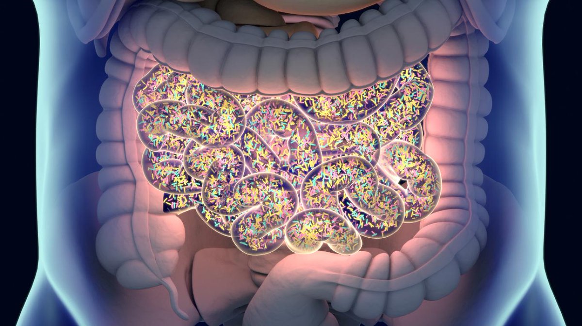 microBIOblog's tweet photo. El futuro de los #probióticos.
Manipular la #microbiota: ¿sirven para algo los probióticos?: depende
👉 https://t.co/B44mw0RDUb https://t.co/t36ZFZ1ik7