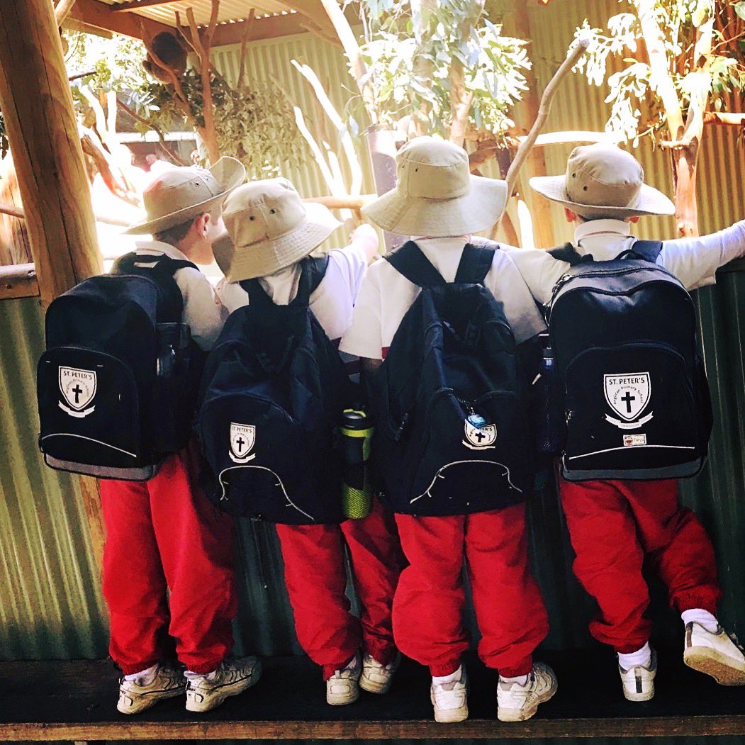 St Peter's Anglican Primary School tweet media