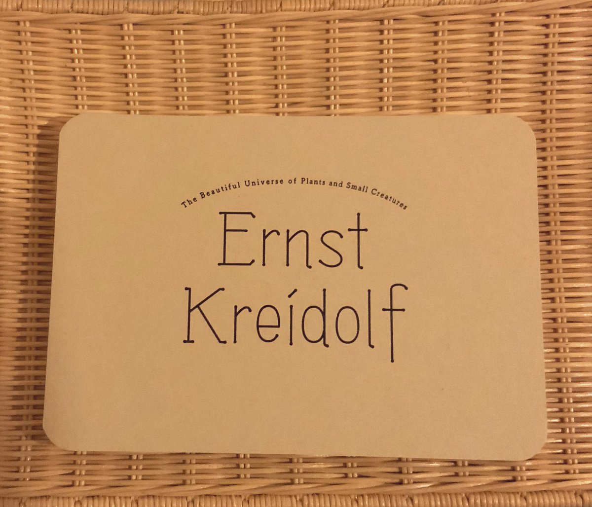 エルンスト・クライドルフ展に行ってきました。図録が可愛い!ポストカードほどのサイズに、この綴じ方。以前吉成曜さんの画集がコデックス装で話題になってましたね。見開きに気を使わなくていいので好きな綴じ方です。 