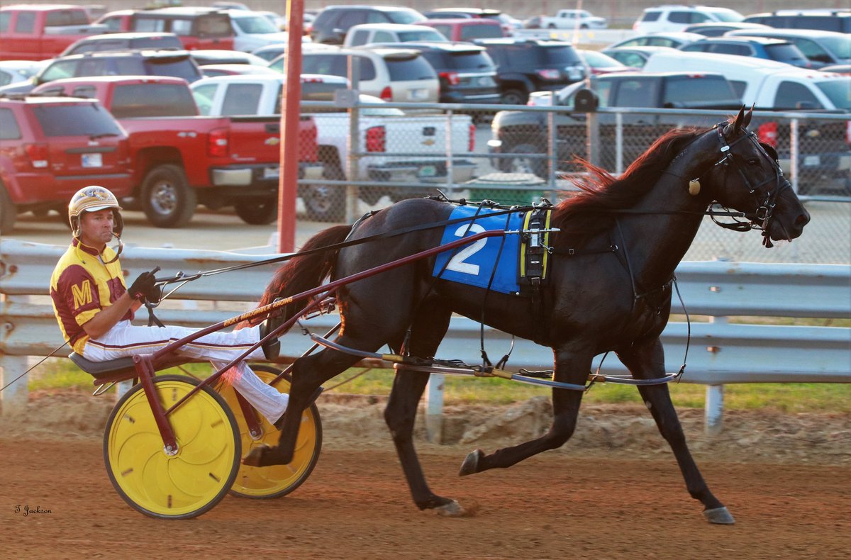 GoodMorning @MacomberJr @RonBurkeRacing @Chris_wponies @JoannKi32885615 @jtlburn @rebelsart @kimberlymoier @GlenPeckinpaugh @vnssa926  @elliotgordon2 @KathleenBaitzel @joe_norte @SadandSulk @INStandardbred @HoP_Racing @blongphee67 #NassauDesire #RickyMacomberJr #IndianaStateFair