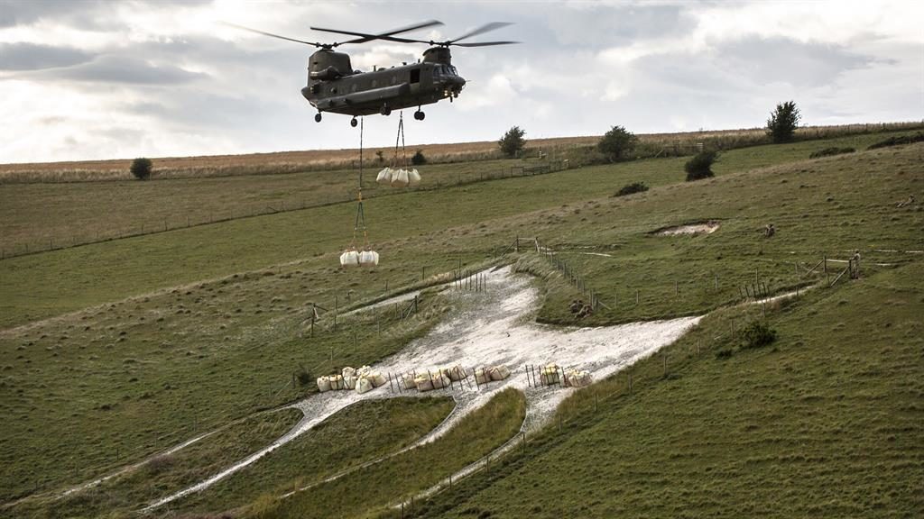 Lovell Salisbury tweet media