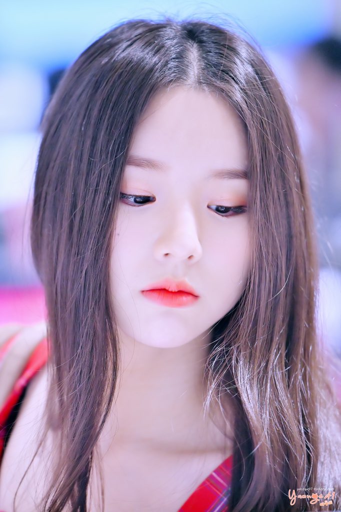 야옹이41 tweet media