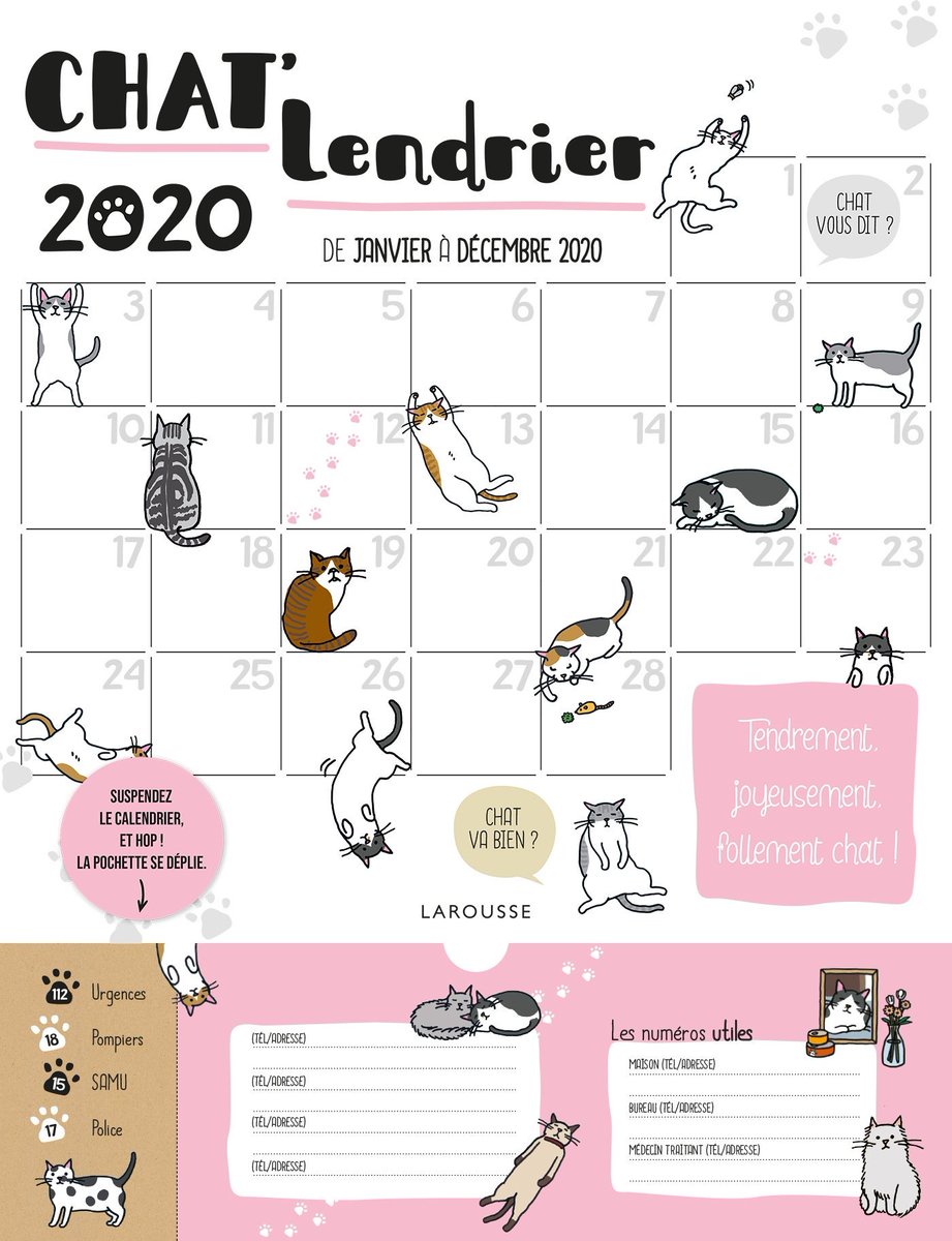 Belleviedechat's tweet image. À l'occasion de l'anniversaire d'Oliver 🎂 #Concours avec Larousse 😻 RT + FOLLOW @Belleviedechat 😺 Tentez de gagner un Chat'lendrier 2020 + un agenda Chattitudes 2020 pour la #rentrée 📚 TAS d'1 gagnant le 30/08 à 18H. Concours réservé à la France métropolitaine.