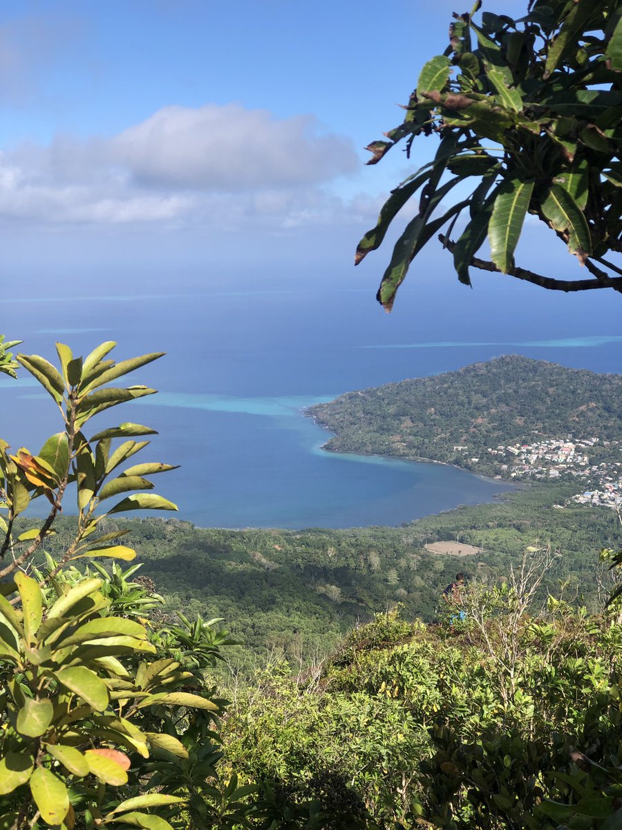 🥀لينا tweet media