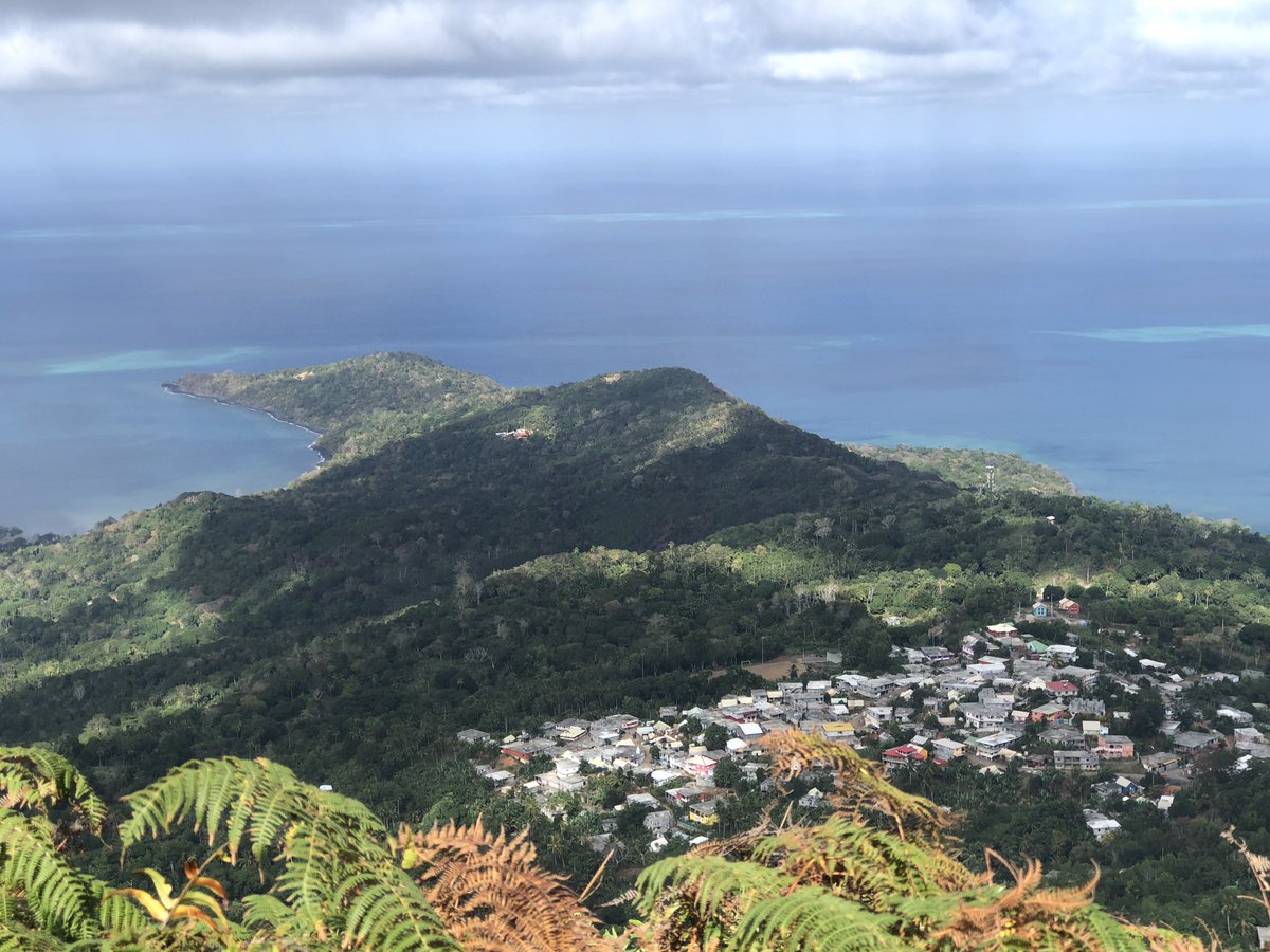 🥀لينا tweet media