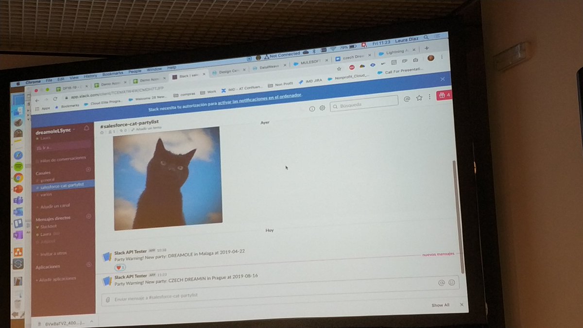 Thanks to #salesforcedog and mulesoft, <a href="/SalesforceCat/">Salesforce Cat ☁️🐱</a> is attending #CD19 party. Are you?? <a href="/pelicanlaurich/">Laura Diaz</a>  <a href="/julipool/">Julio Diego Barrado (he/him)</a>