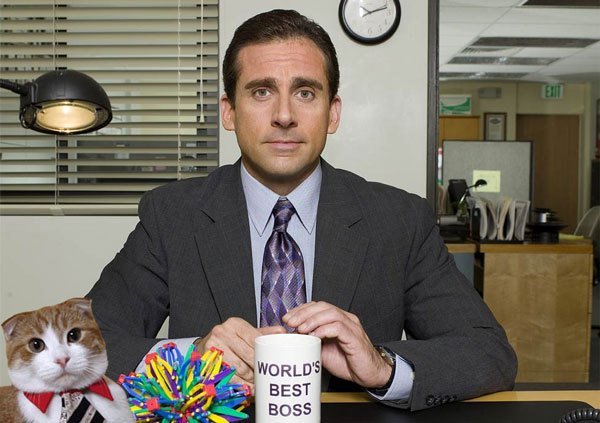 HAPPY BIRTHDAY STEVE CARELL - 16. August 1962. Concord, Massachusetts, USA 