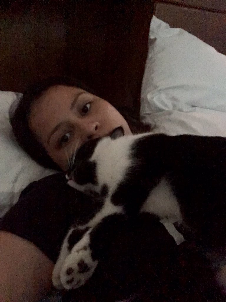 WaywardSeeker11's tweet photo. #cannotmove #catnap https://t.co/w8ODgGVILq
