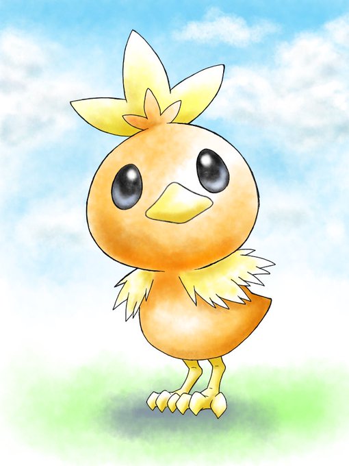 アチャモのtwitterイラスト検索結果 アチャモのtwitterイラスト検索結果