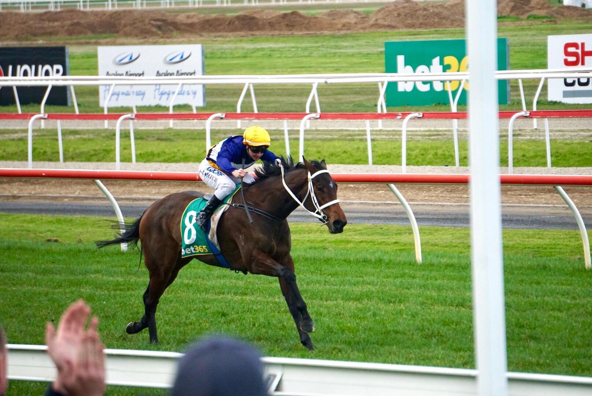twobaysfarm's tweet photo. Congratulations to all connections of I Am Eloquent who won her 2nd race today @GeelongRaceClub. Great training effort by @busuttin and a lovely ride by Linda Meech. @vicbreeders @inglis_sales @pwilletts1 #peninsulapride #FLR #springawaits #darling https://t.co/mhrqmZaTCe