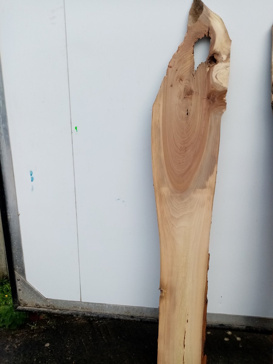 TylerHardwoods's tweet photo. 27mm Euro Elm boards, kiln dried. These are for sale in our WOOD SHOP which is open Monday to Thursday 8am-5pm and Fridays 8am to 4pm. Tyler Hardwoods 01672 871300. https://t.co/4rpIEwDph9