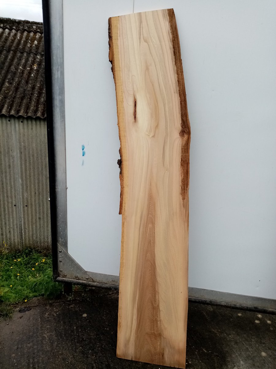 TylerHardwoods's tweet photo. 27mm Euro Elm boards, kiln dried. These are for sale in our WOOD SHOP which is open Monday to Thursday 8am-5pm and Fridays 8am to 4pm. Tyler Hardwoods 01672 871300. https://t.co/4rpIEwDph9