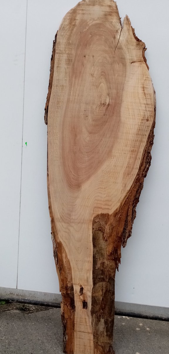 TylerHardwoods's tweet photo. 27mm Euro Elm boards, kiln dried. These are for sale in our WOOD SHOP which is open Monday to Thursday 8am-5pm and Fridays 8am to 4pm. Tyler Hardwoods 01672 871300. https://t.co/4rpIEwDph9
