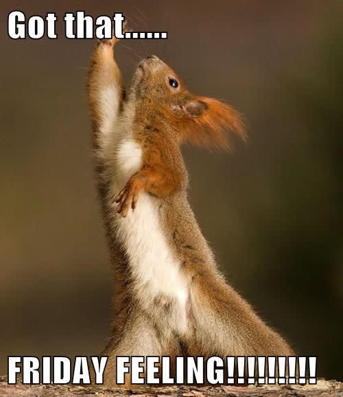 WoodseatsHAY's tweet photo. 🥳🥳 It's Fridayyyyy!!! 🥳🥳

🌟 Hope you all have a lovely weekend! 🌟

☎️☎️ We are open tomorrow between 9am - 4pm - pop into the office or give us a call on 01142559039 for any enquiries which you may have! ☎️☎️ https://t.co/c6IEikp41M