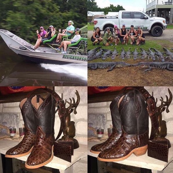 meyer_ranch's tweet photo. Kill A Gator, Wear ‘em Lator Gator hunting season is almost here. There are only a couple of hunt dates available call today to schedule! Includes boots, belt and wallet from your hunt. How cool is that? #meyer_ranch #gatorhunting #killagatorwearemlator #hunting #Louisiana https://t.co/gYqMV62GuP