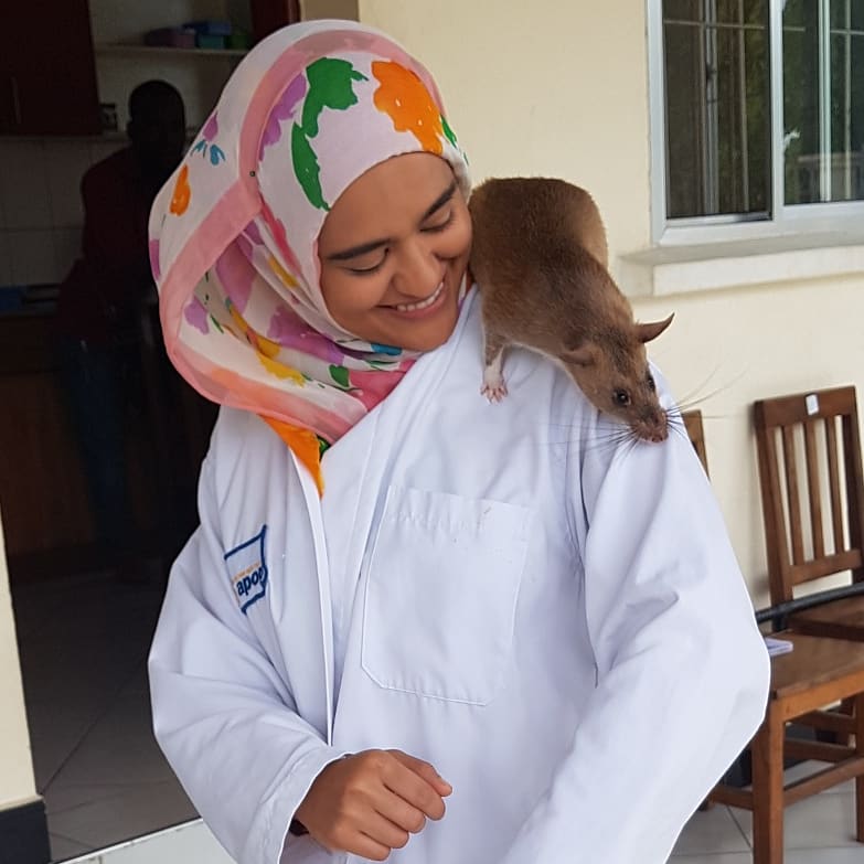 SamiahAlam's tweet photo. Watched @HeroRATs detect tuberculosis at APOPO, Dar es Salaam. TB is the 5th leading cause of death in Tanzania. APOPO has helped increase TB detection rate by 40% and treatment initiation rate by 25%. 
#QEScholars #DalGradExperience @DalGradStudies @QEScholars @QESDalhousie https://t.co/dlOyKBUXKe