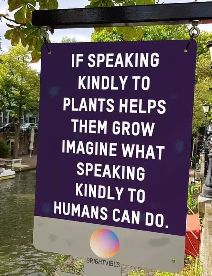 Bill Calder- Urbex🇨🇦Canada (@bill_calder_1) on Twitter photo 