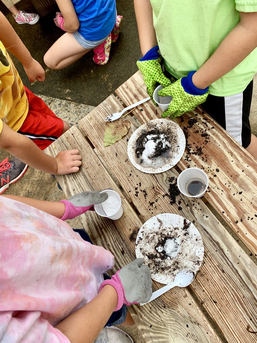 msferreira6's tweet photo. It is garden time @OliveChapelElem we kicked off the fall season by testing the soil Ph! Our young gardeners did an awesome job! @RuthSteidinger @STEM_WCPSS @ApexPSF #backyardlearning #naturalcuriosity #STEMrocks #kidsarethefuture https://t.co/rLaMs74dgC