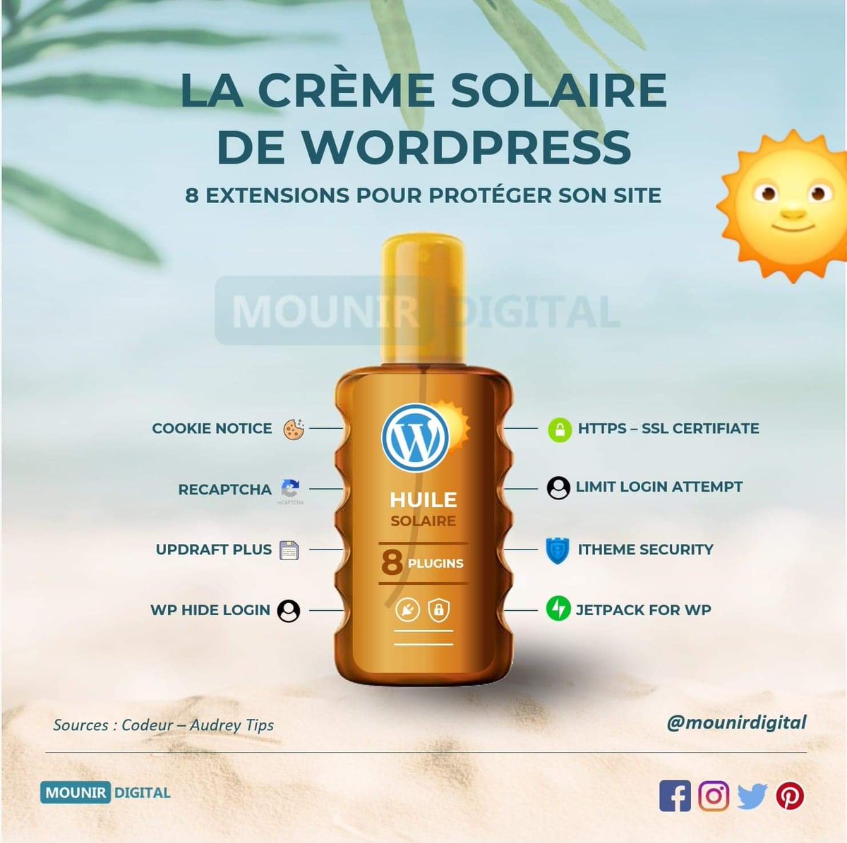 agencepandaseo's tweet photo. [ #INFOGRAPHIE ] 

La crème solaire #Wordpress et ses extensions pour protéger son site web des mauvais rayons 🧴⛱ 

via @mounirdigital

#DigitalMarketing #ContentMarketing #StratégieDigitale https://t.co/VmkymdYhkp