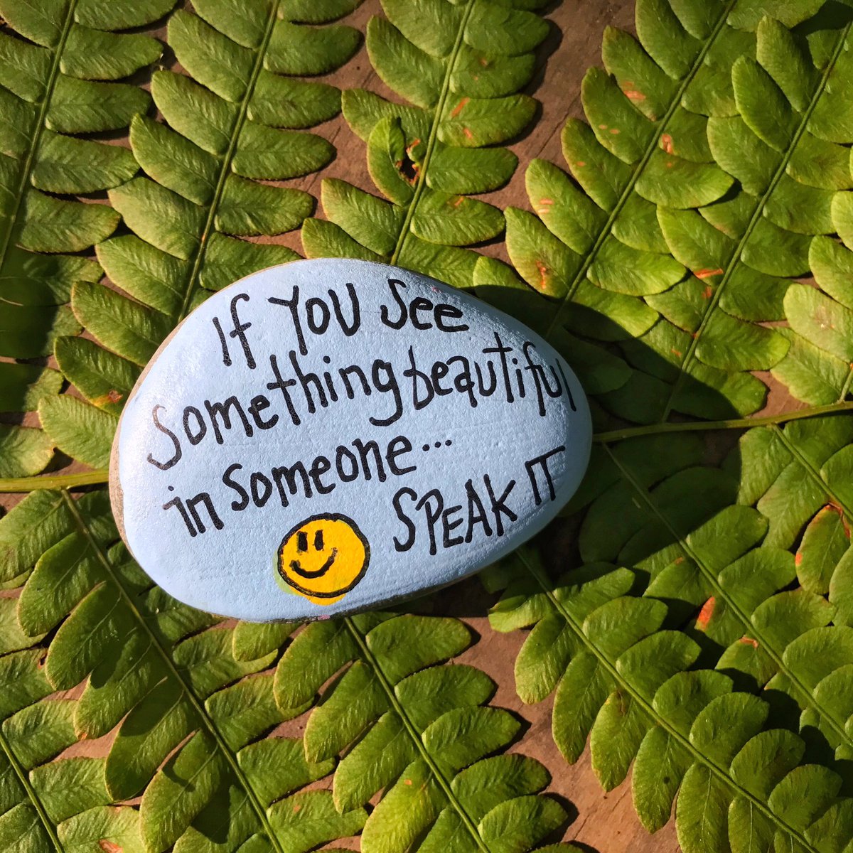 theKindnessrock's tweet photo. If we all took a moment to share compliments & encourage one another... imagine what that impact would be🙏🏻 #changeisonus #bekindtooneanother #thekindnessrocksproject https://t.co/pZRcZeAQTv