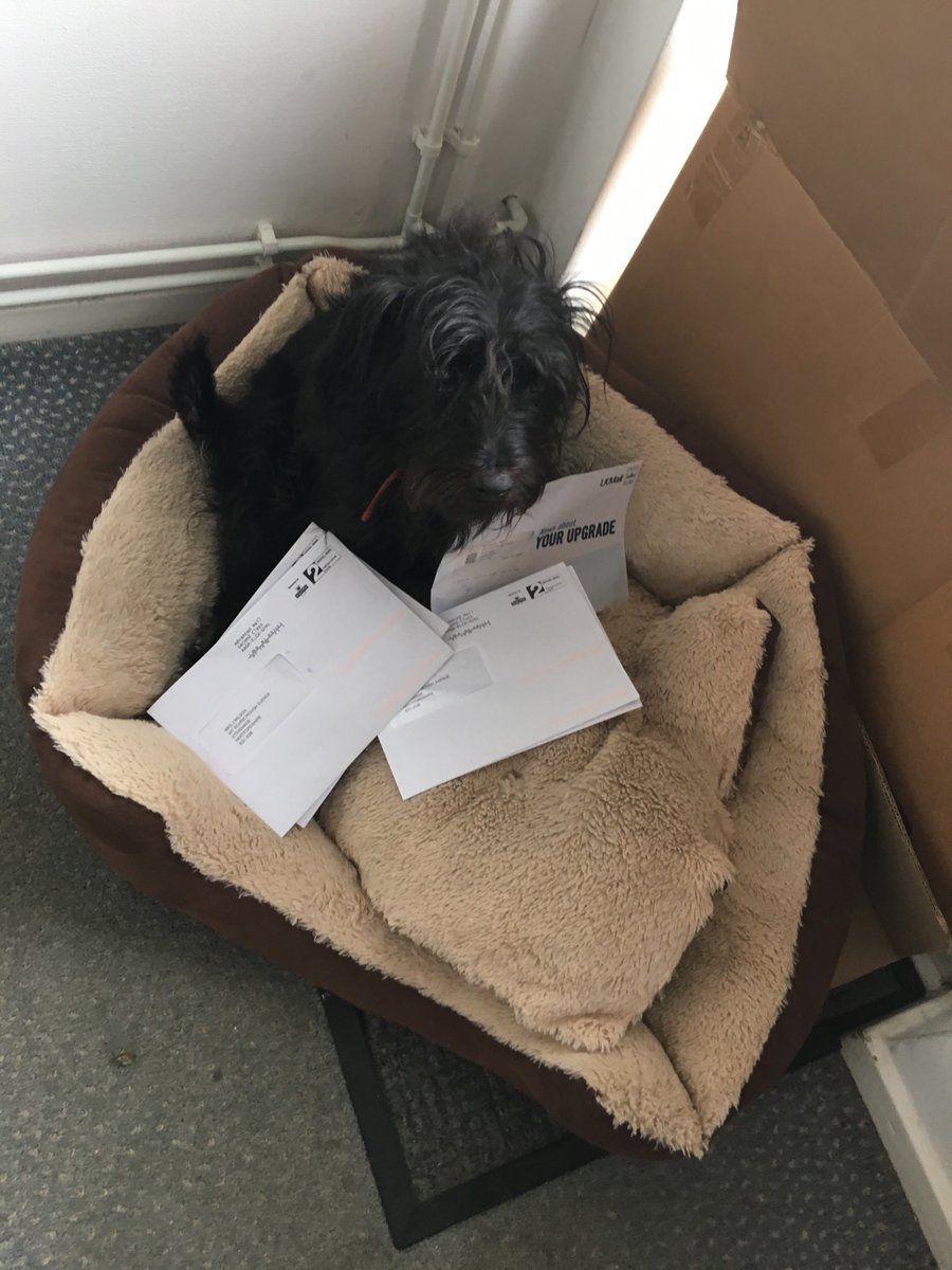 Jan10638274's tweet photo. Postman’s been! #Roscoholiday https://t.co/9bjrWwd6Hz