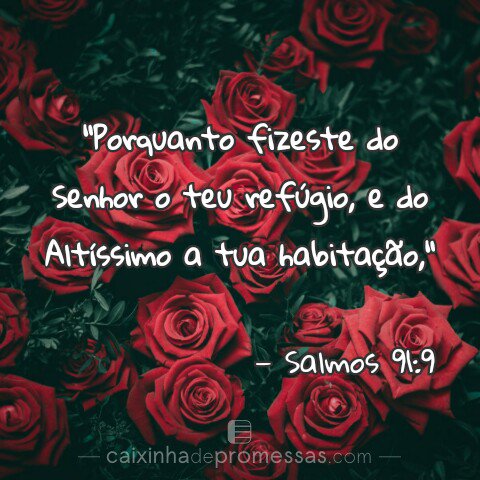 AssisCinara's tweet photo. #CaixinhaDePromessas https://t.co/aGnfx1EeU9