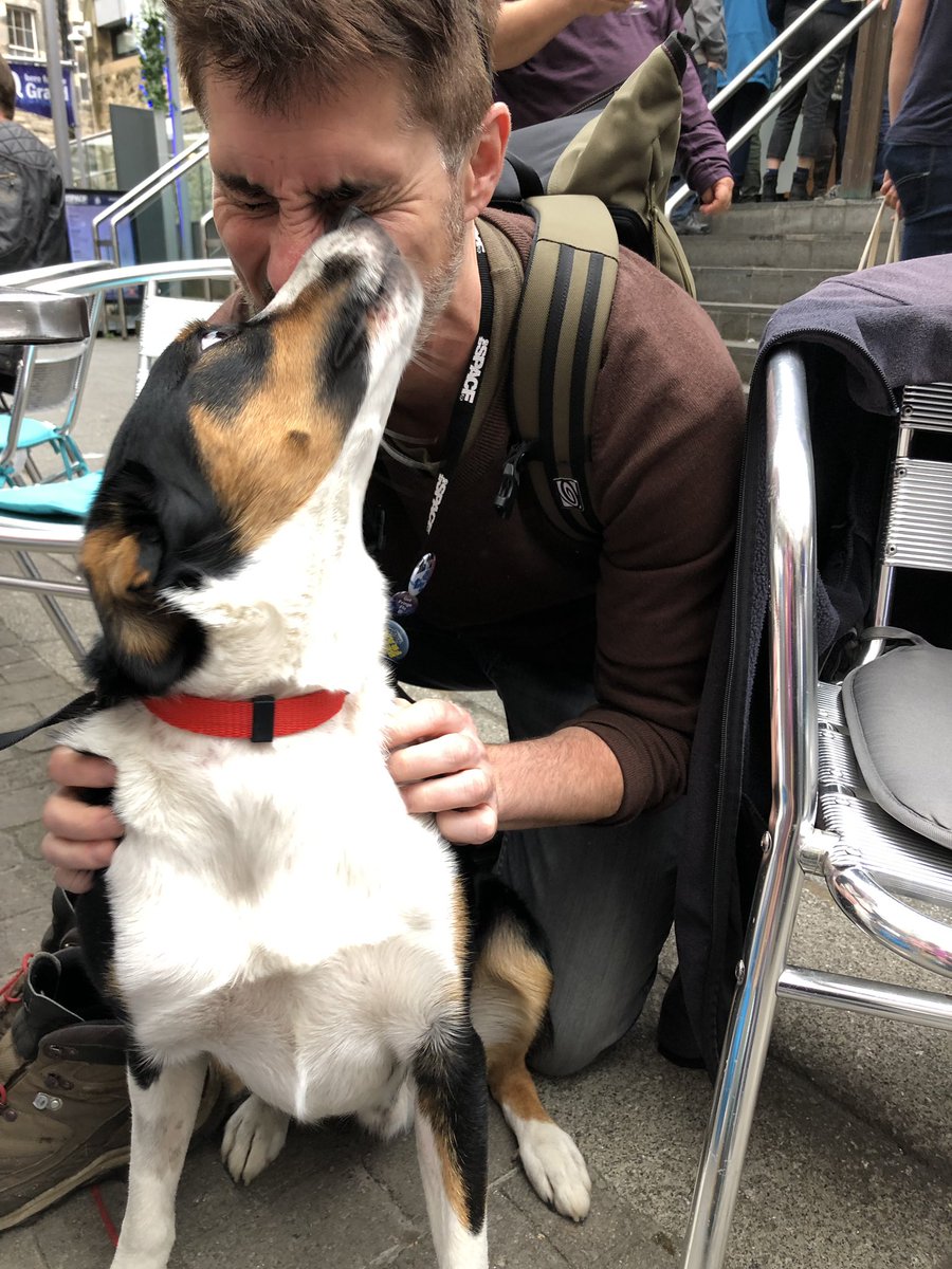 deantemple's tweet photo. This is Derek. Say hello. #dogsoffringe https://t.co/DnZekdstHa