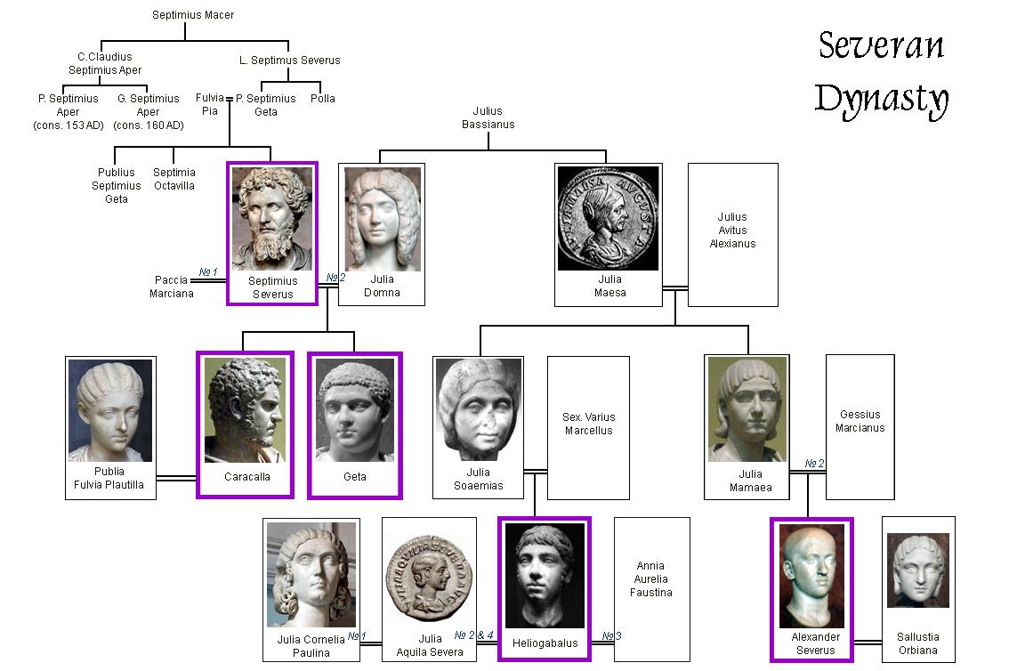 Despite the deaths of both of Septimus Severus’ sons, the Severan Dynasty persisted through the family of his wife, Julia Domna, until 235, when Severus Alexander was assassinated, precipitating the crisis of the third century.