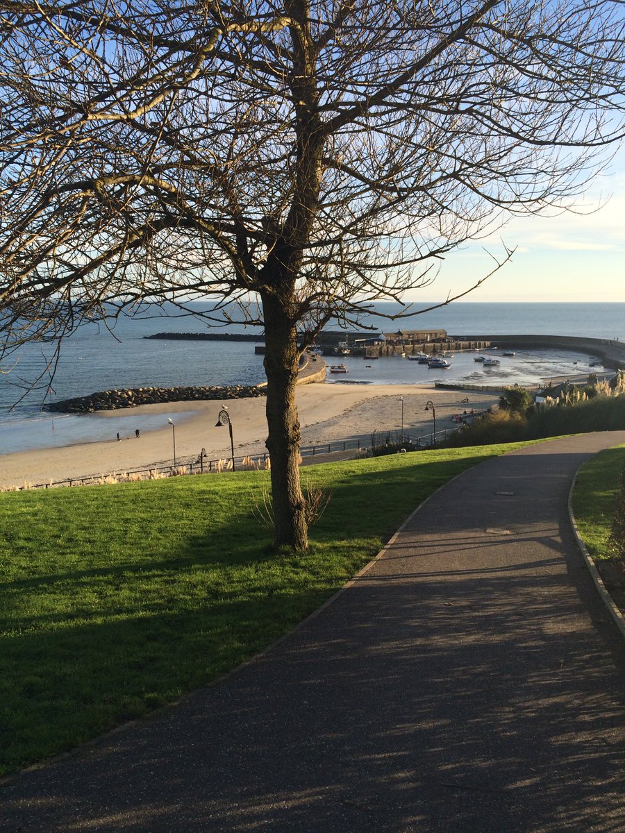 CathyRy's tweet photo. Thanks for the tag @barbtaub 
#My5Things
Book: Last Train to Memphis
Movie: Steel Magnolias
Music: If I Can Dream
Guilty Pleasure: Chocolate
Place: Lyme Regis
Tag: @stephlvsbooks @noveldeelights @yvonnembee @GeorgiaRoseBook @LizanneLloyd https://t.co/7D9QuCgr6V