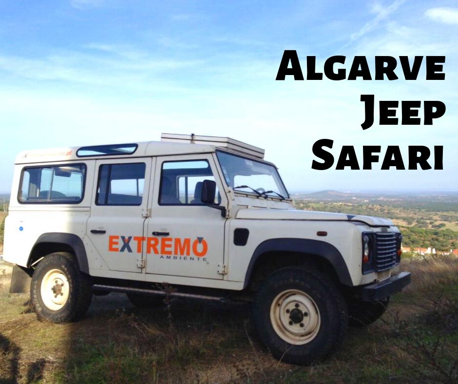 Extremo Ambiente Albufeira 2020 All You Need To Know Before