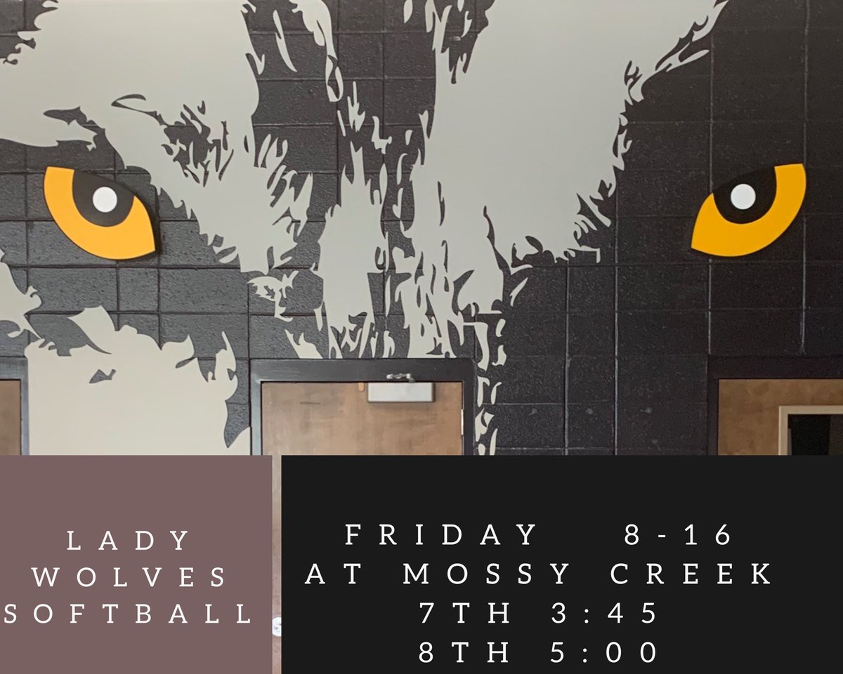 Come out and support FMMS Softball!