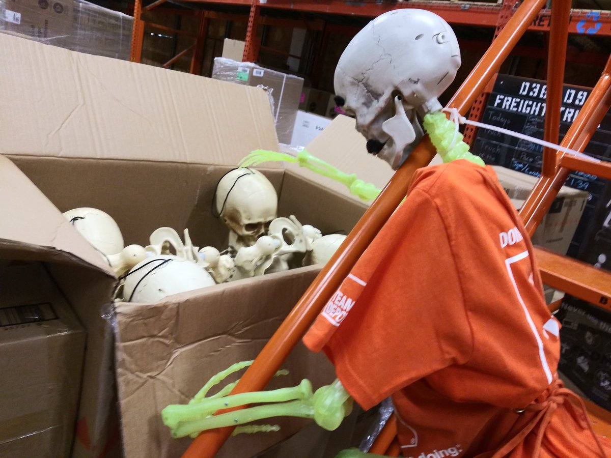SkellyIce's tweet photo. Don't worry my Boney little friends, you will have homes soon. #Halloween P.s. always keep 1 hand on the rail at all times for safety. #SafetyMatters #SkellyStyle #FridayFeeling @DoepelZac @RattleDemBonez @BunnieKat1962 @HalloweenCounts @HomeDepot https://t.co/PQ9xoRL9Ia