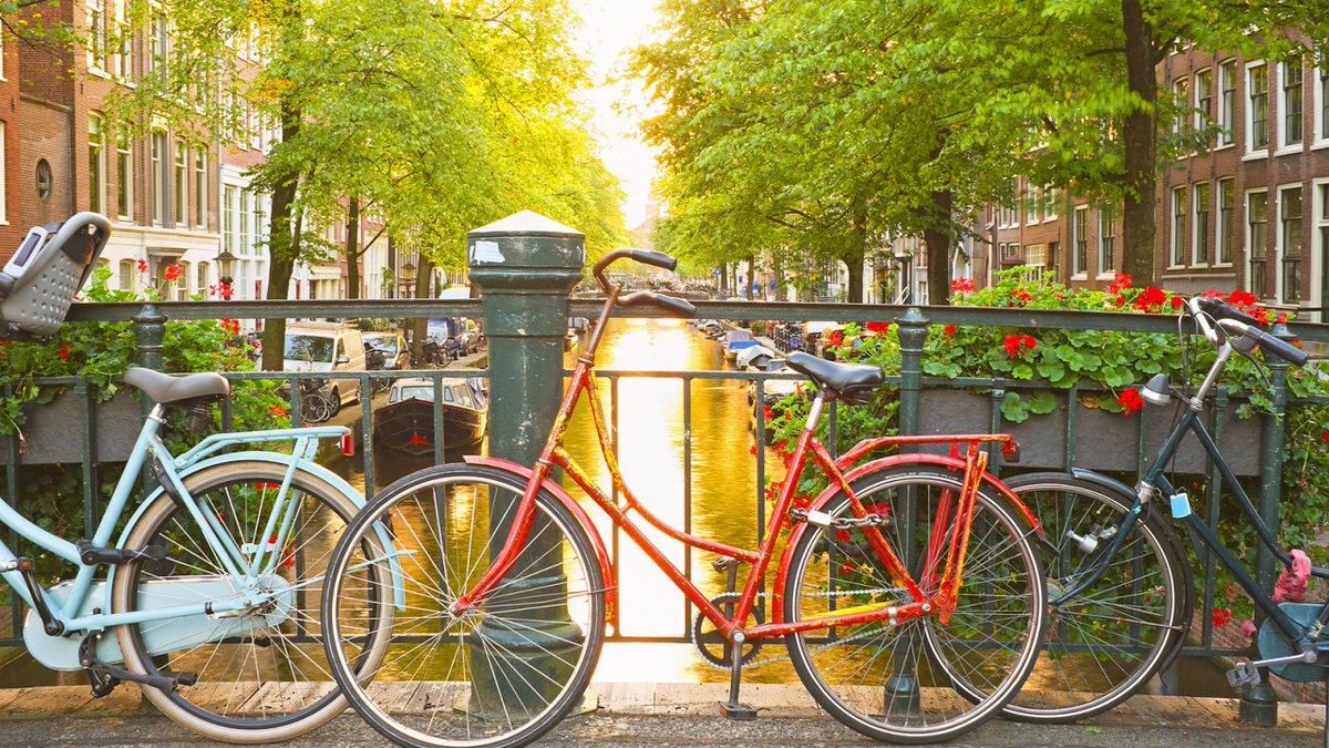 Functionalworks's tweet photo. Trivago 🏝️, the global hotel booking company 🛏️, works with #elixir #developers on their new #startup venture #TellCharlie - making sure guests can easily communicate to the hotel staff any needs or feedback they have ! 📢
Join their team in #Amsterdam!

https://t.co/Yc7FcoqTbJ https://t.co/P5bAAiHmUZ