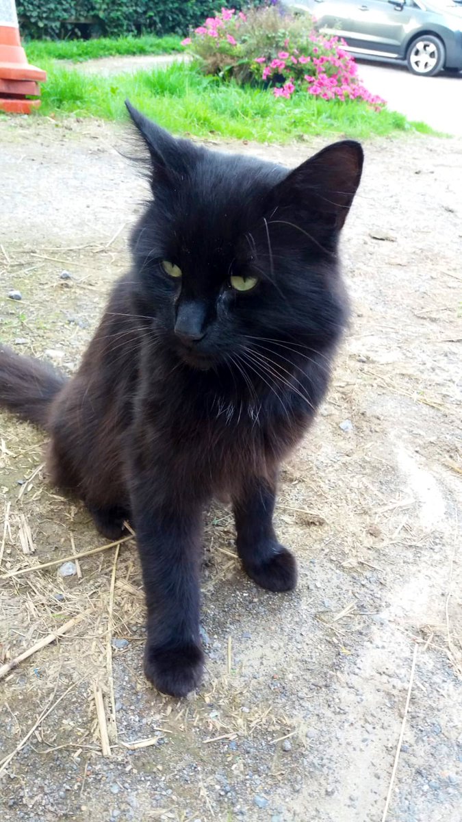 iloveripley's tweet image. My mum and dad. Who do you think I look more like?