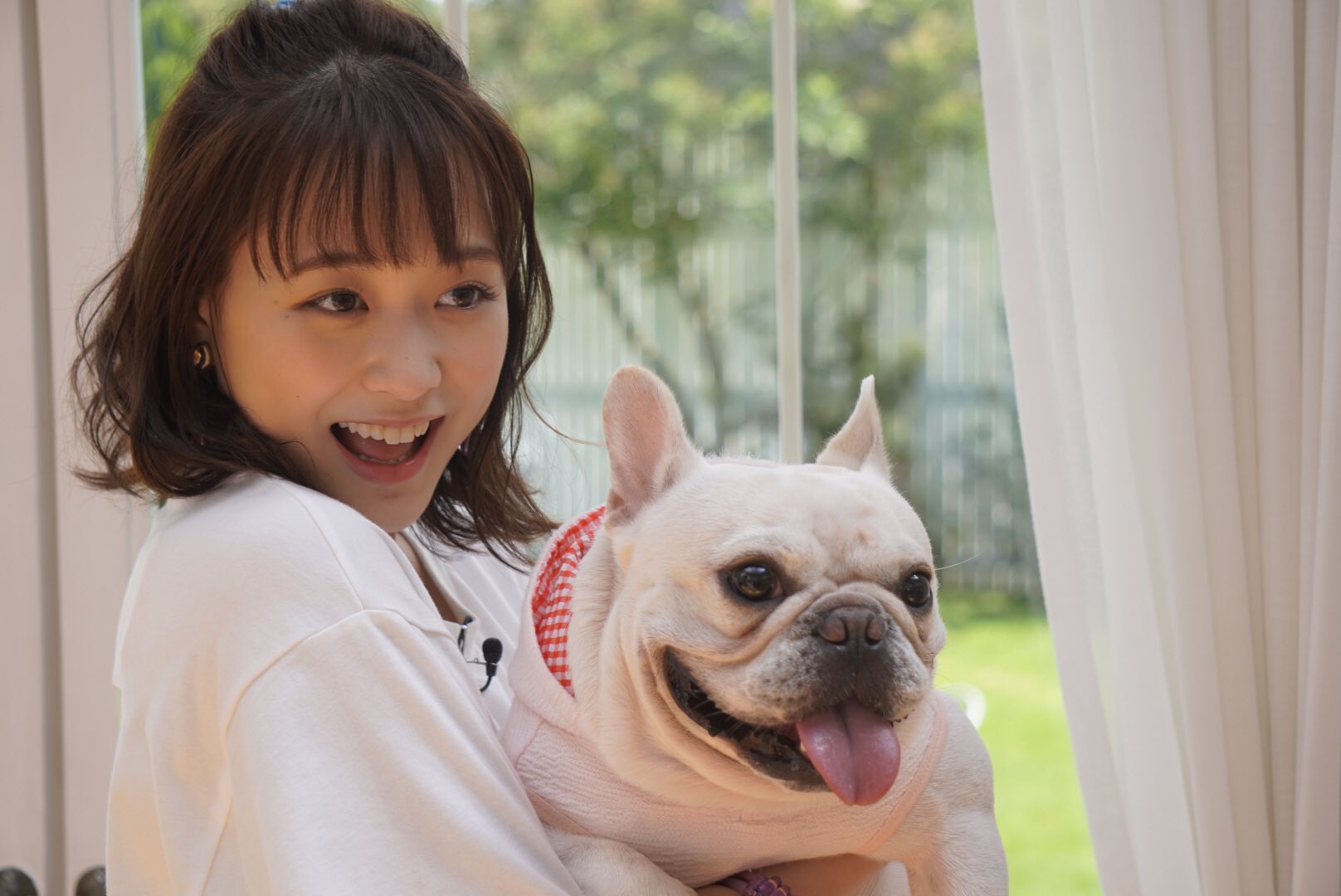 大原櫻子 スタッフ 公式 出演情報 テレビ東京 どうぶつピース に出演します 8月23日 金 18 55 19 56放送です T Co 7pf0zvgwpg T Co 8jvok1nr6b Twitter