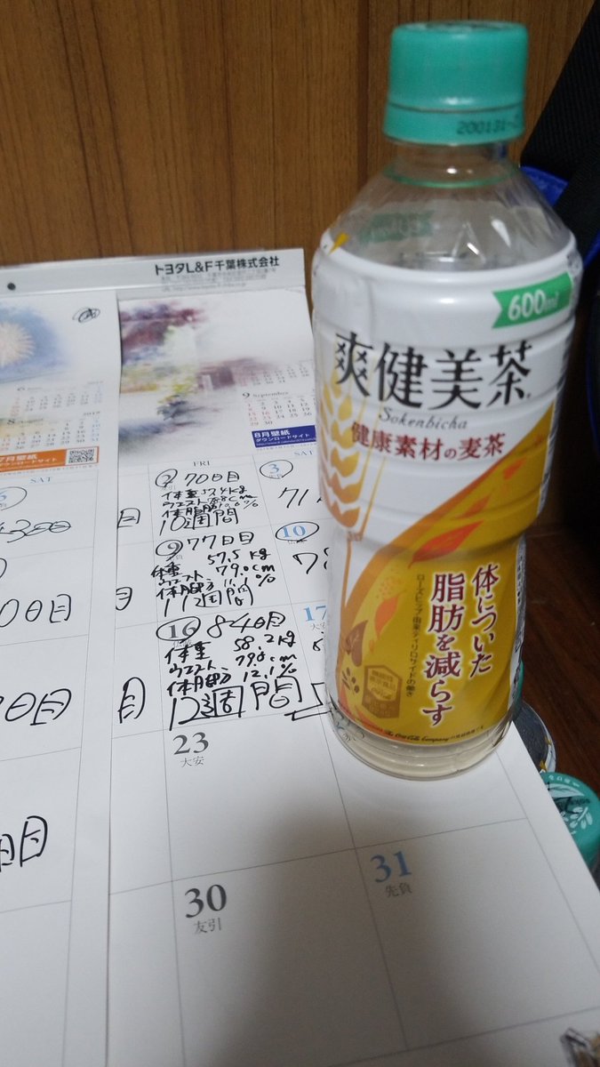 流行りのダイエット