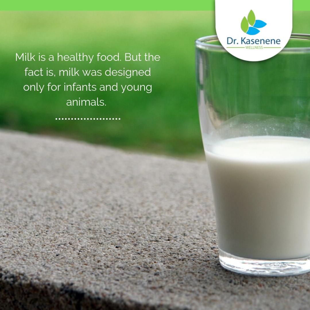 Dr Paul Kasenene on Twitter "Milk is a healthy food. But the fact is