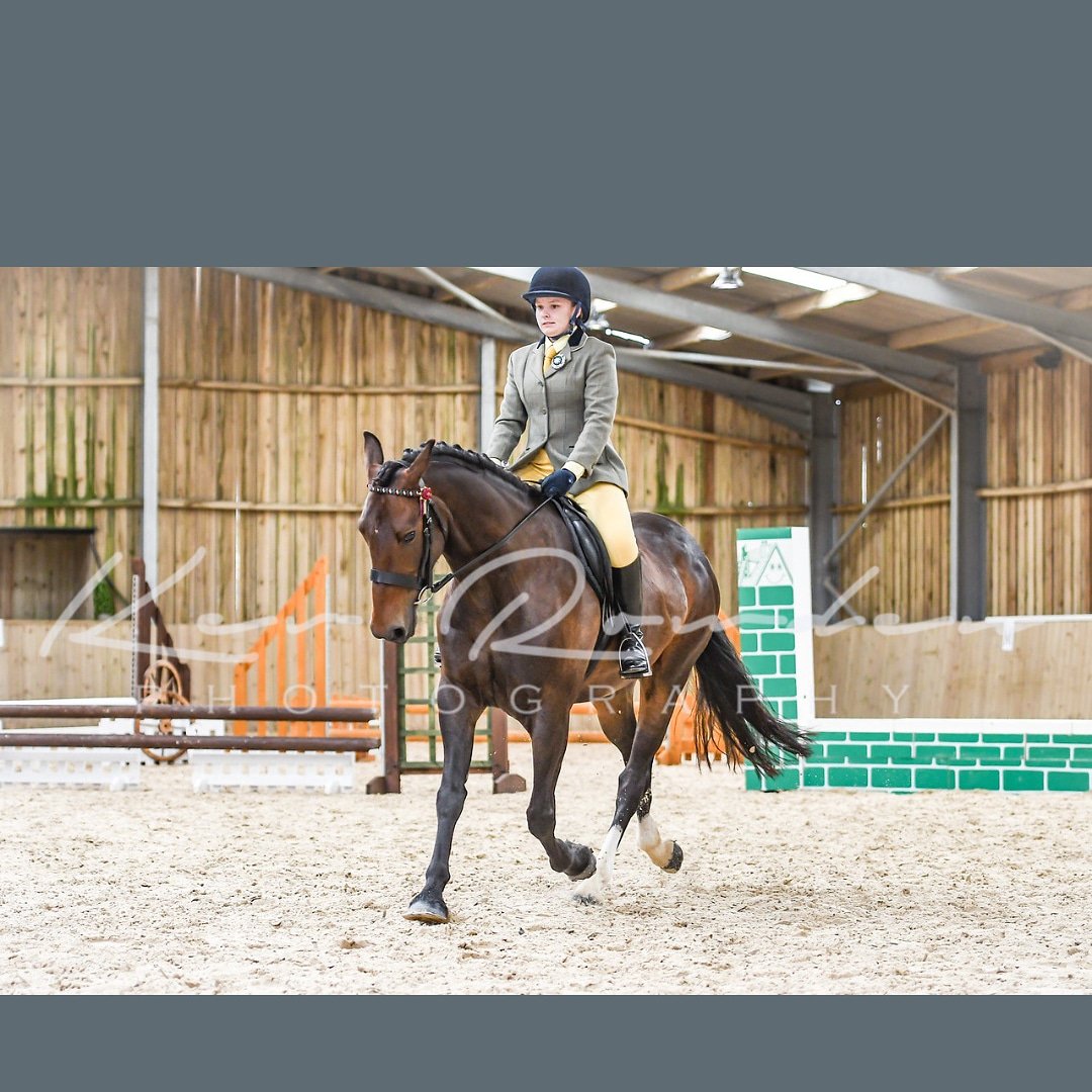 MyMareSpeckles's tweet photo. Superstar 5 year old
#dressageprospect
#workinghunter
#bestmareever https://t.co/TNAGXMZwgn
