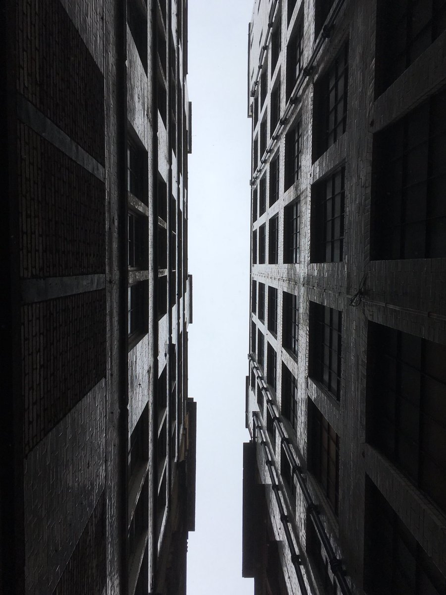 David Phillips tweet media