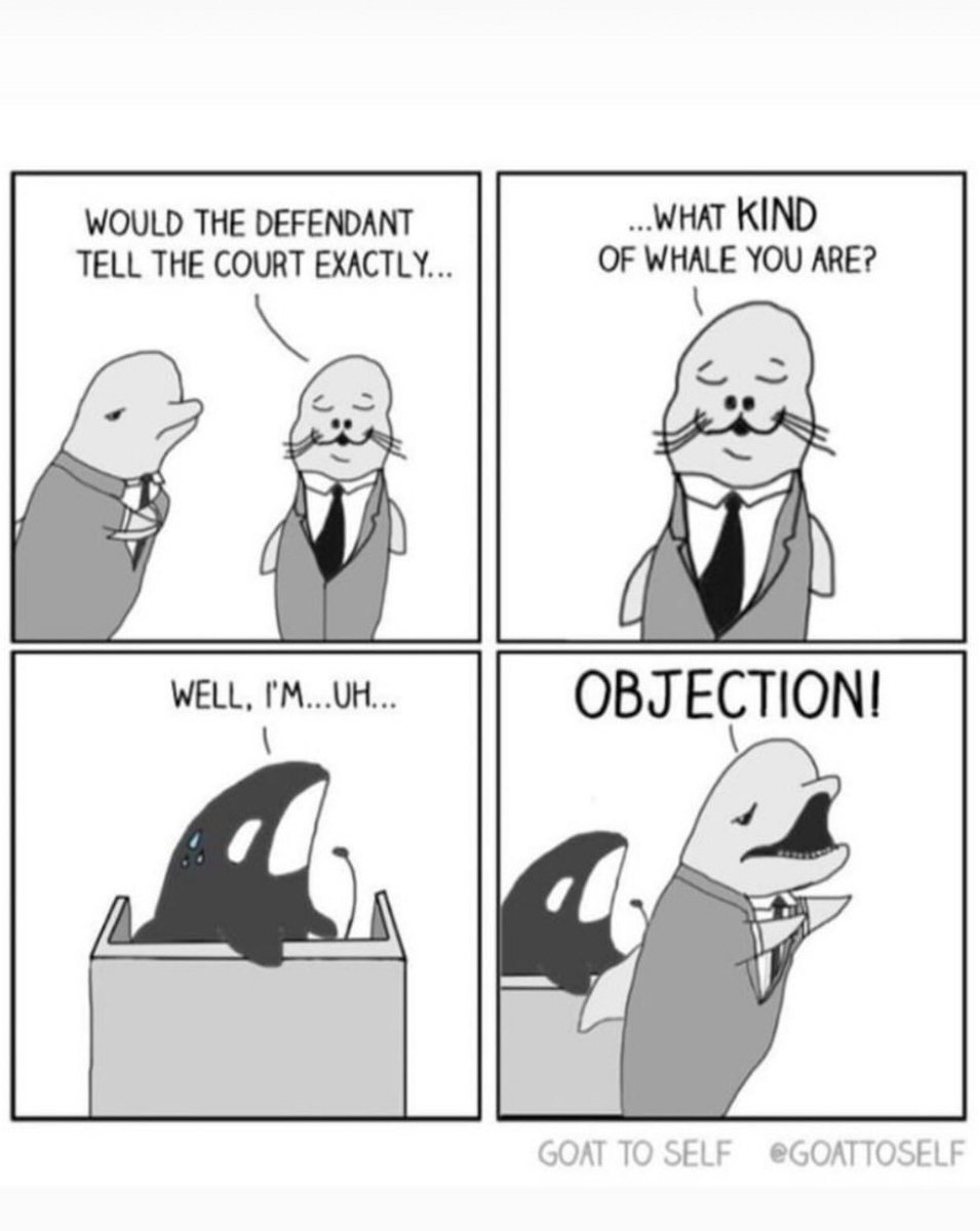 UnderOathPC's tweet photo. A little morning lawyer humor for everyone. https://t.co/ruSSa9lz31