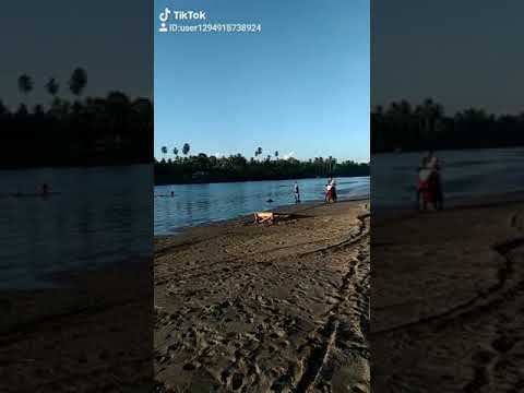 VideoNovedades tweet picture