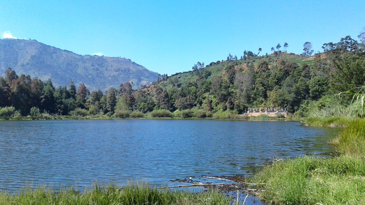 MYantiara's tweet image. Beautiful nature
#java #javaisland #wonosobo #dieng #diengplateau #diengwinosobo #centraljava #nature #naturephotography #naturelover #trip #travel #traveling #travelling #travelphotography #vacation #holiday #vacanze #bellisima #goodvibes #goodview #goodmorning #natureza
