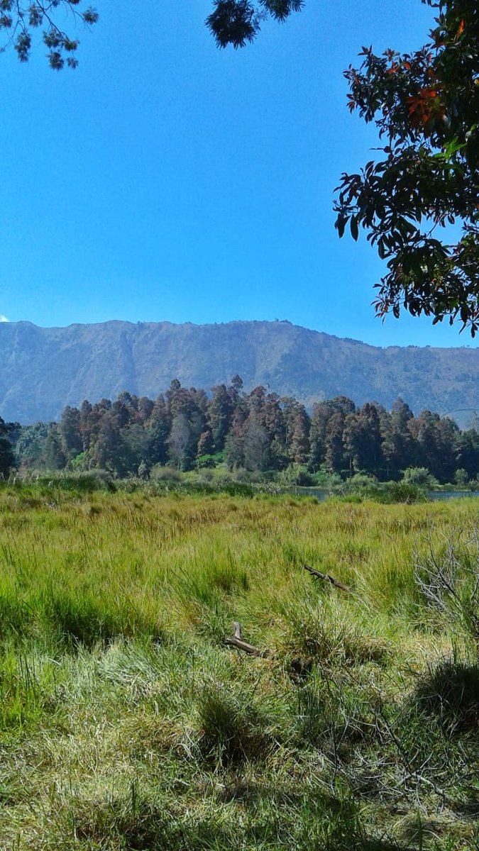 MYantiara's tweet image. Beautiful nature
#java #javaisland #wonosobo #dieng #diengplateau #diengwinosobo #centraljava #nature #naturephotography #naturelover #trip #travel #traveling #travelling #travelphotography #vacation #holiday #vacanze #bellisima #goodvibes #goodview #goodmorning #natureza