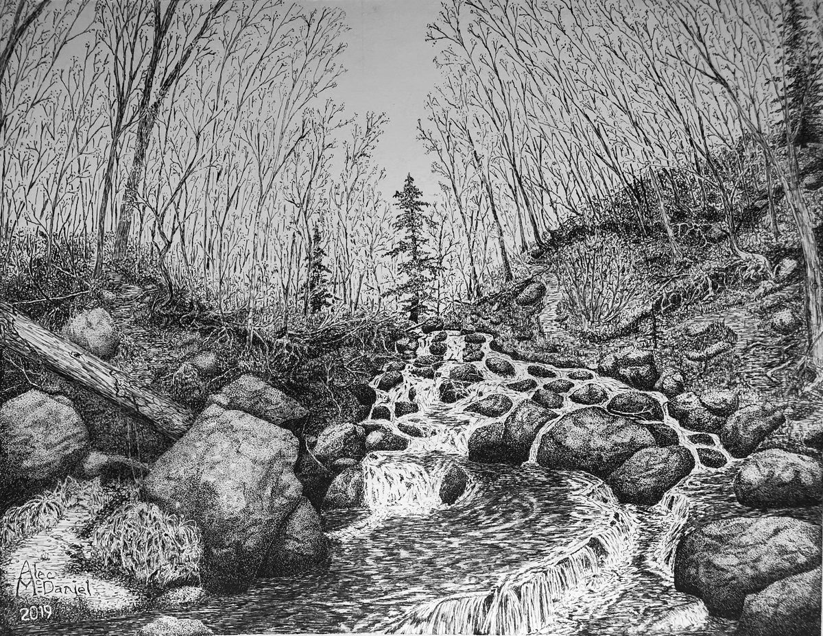 #Art #penandink #drawing