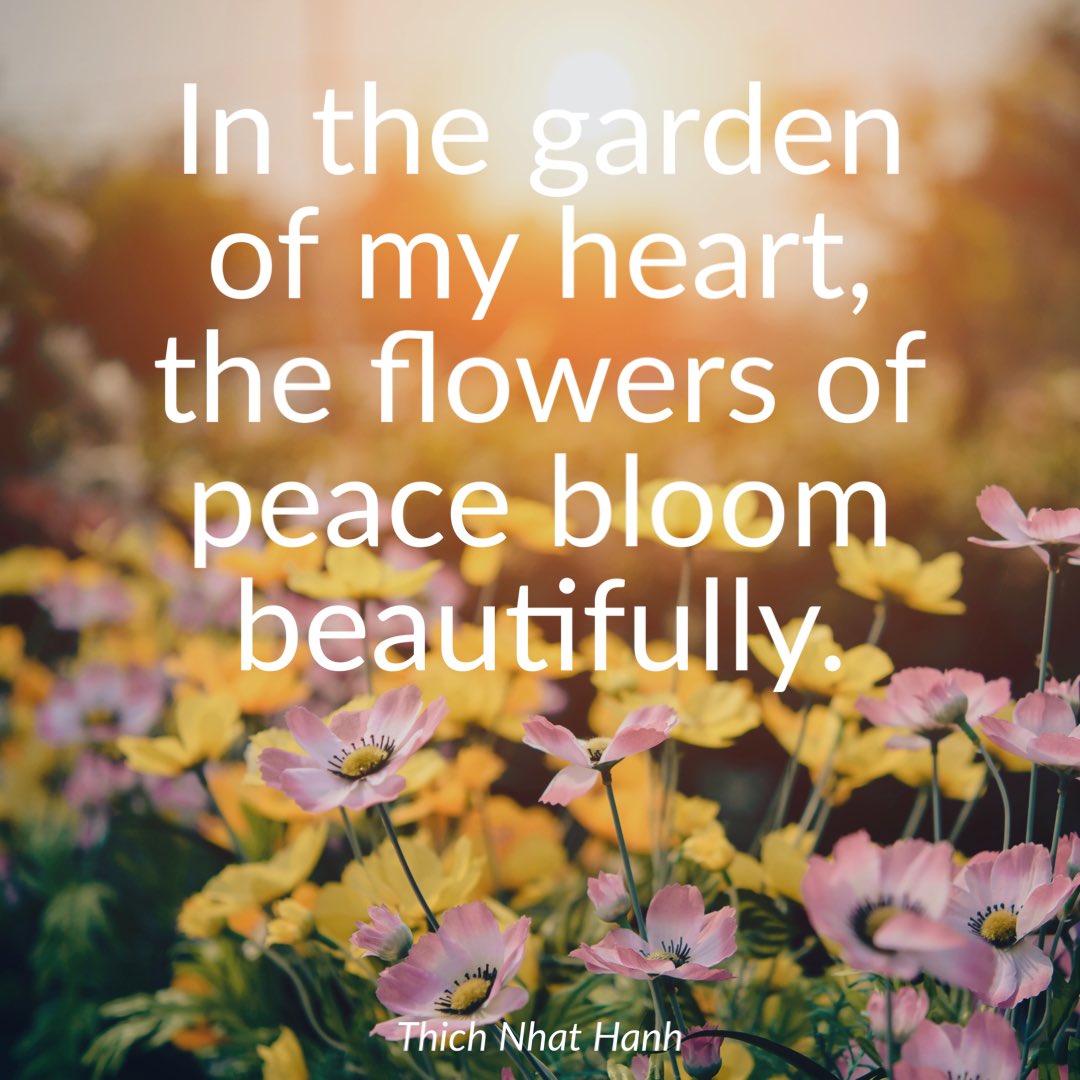 “In the garden of my heart, the flowers of peace bloom beautifully” 🌼🌸 - <a href="/thichnhathanh/">Thich Nhat Hanh</a>