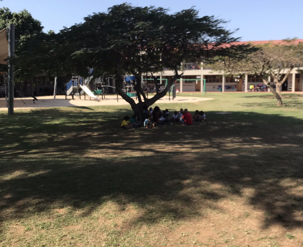 I just love how frequently Primary teachers take their students outside to sit under the tree, it’s so respectful to where we are. #aismlearns